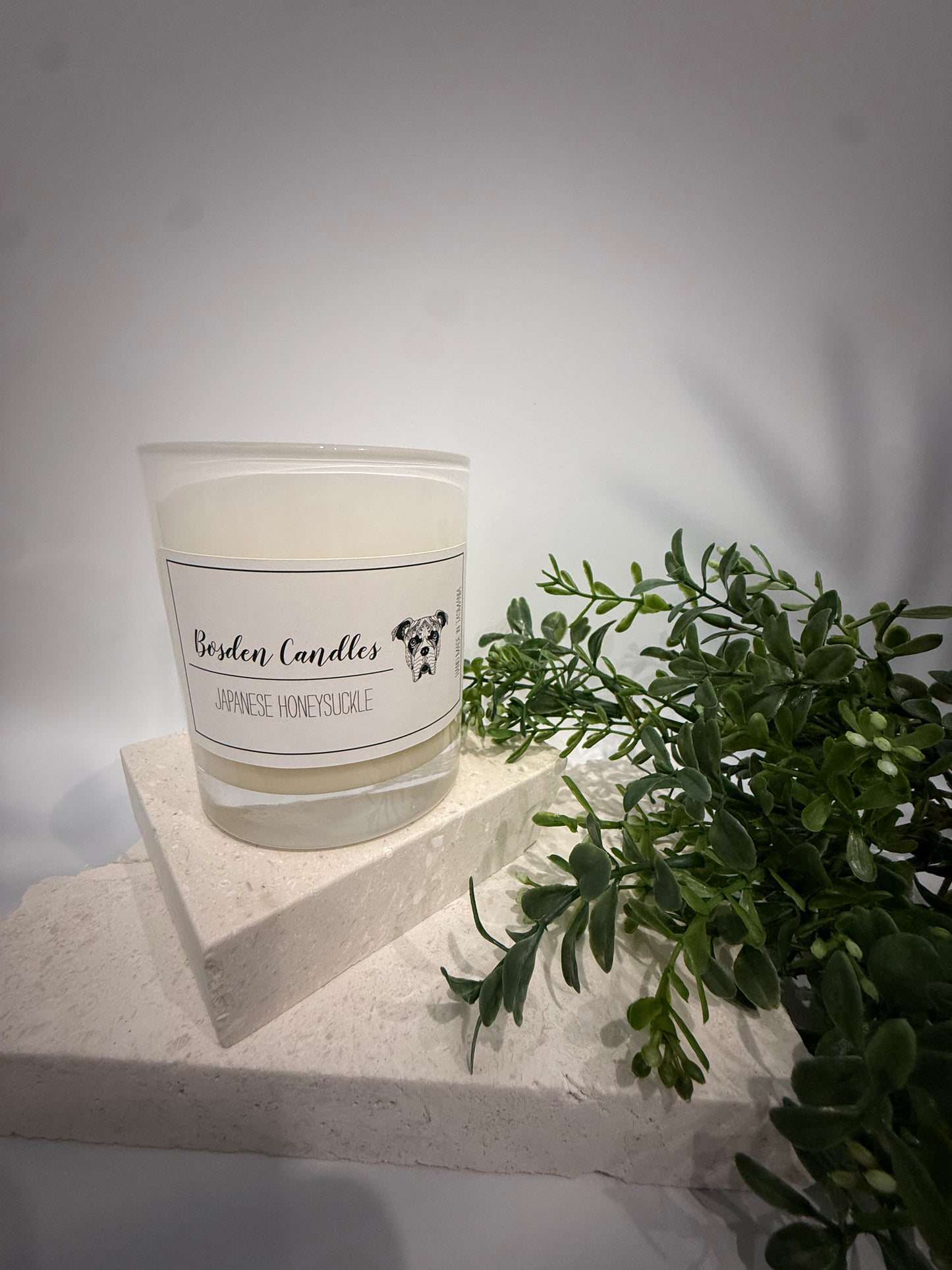 Japanese Honeysuckle