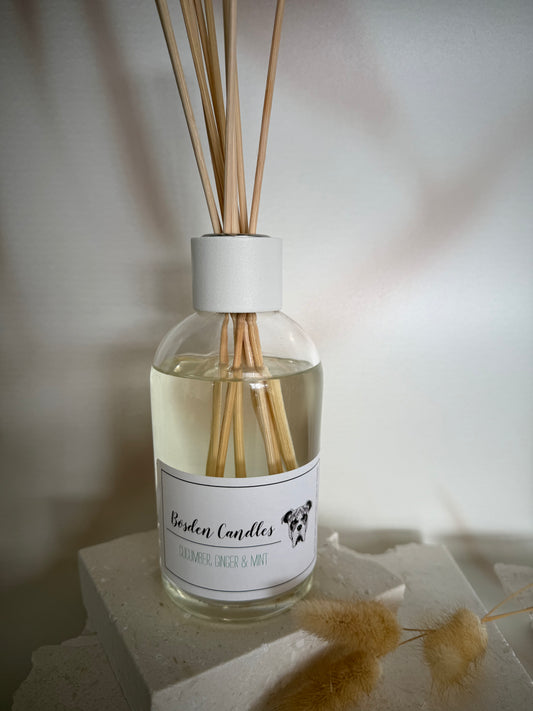 Cucumber, Ginger & Mint